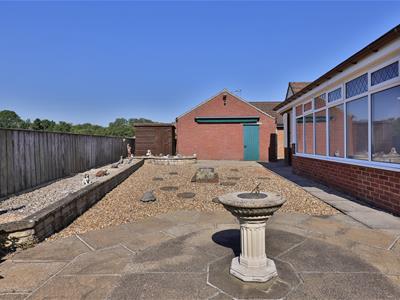 Picture 19